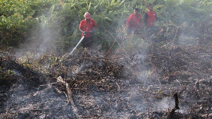 Ilustrasi hotspot di Riau terdeteksi sore ini (foto/int)